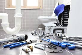 Plumbing System Maintenance in Livonia, MI